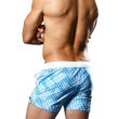 画像4: Andrew Christian【アンドリュークリスチャン】 メンズ水着 海パン ブランド ショート丈 スイムショーツ Holiday Swim Shorts (4)