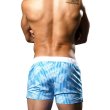 画像5: Andrew Christian【アンドリュークリスチャン】 メンズ水着 海パン ブランド ショート丈 スイムショーツ Holiday Swim Shorts (5)