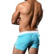 画像4: Andrew Christian【アンドリュークリスチャン】 メンズ水着 海パン ブランド ショート丈 スイムショーツ VICEROY Swim Shorts (4)