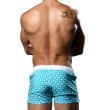 画像5: Andrew Christian【アンドリュークリスチャン】 メンズ水着 海パン ブランド ショート丈 スイムショーツ VICEROY Swim Shorts (5)