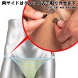 画像6: L'Homme Invisible【ロームアンヴィジーブル】 メンズTバック 男性用Tバック 男性Gストリング G-string Anis Vitamine レース メッシュ Ｔバック 男性下着 (6)