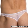 画像4: 【ロームアンヴィジーブル】Adam Bikini メンズＴバック (4)